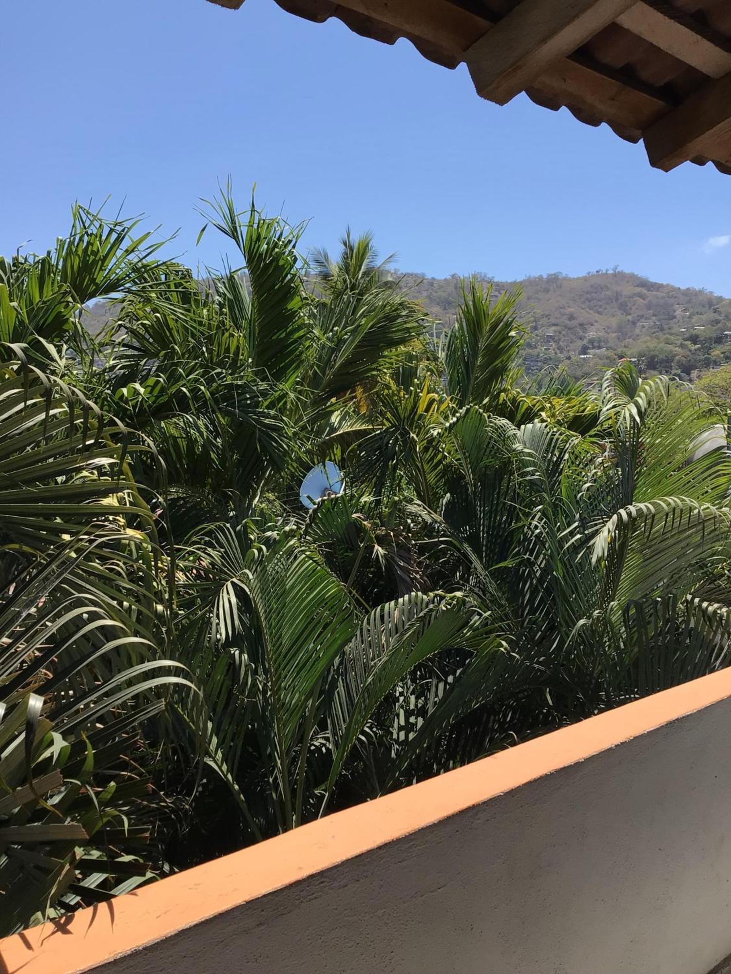 Hotel Villa Tulipanes Zihuatanejo Buitenkant foto